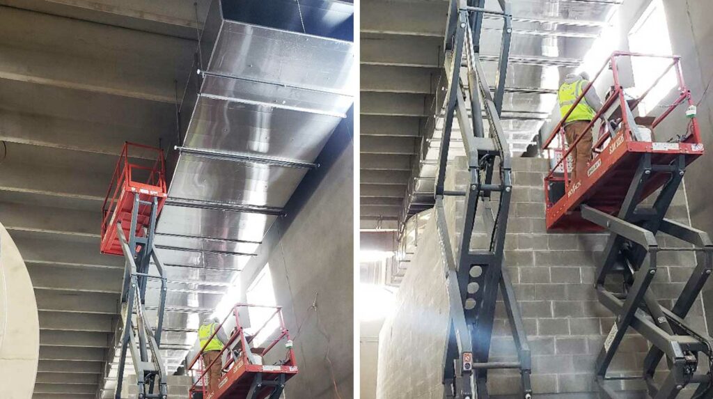 mowbray-son-portfolio-2-BRANDON-MEIGS-BIOTA-TREATMENT-3