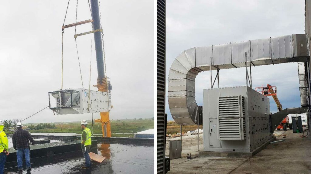 mowbray-son-portfolio-25-BRANDON-MEIGS-BIOTA-TREATMENT-2